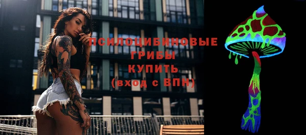 гашик Балашиха
