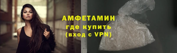 прущие грибы Нягань