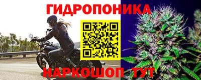 гидра Бийск