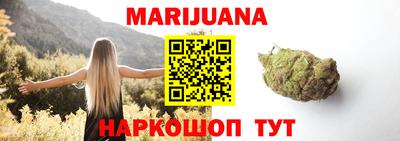 гашик Берёзовский