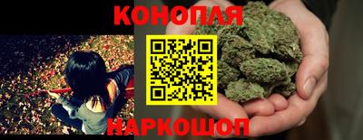 стафф Берёзовский