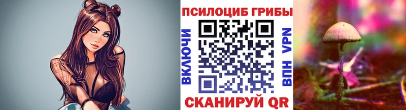 Псилоцибиновые грибы прущие грибы  где купить наркоту  Ногинск 