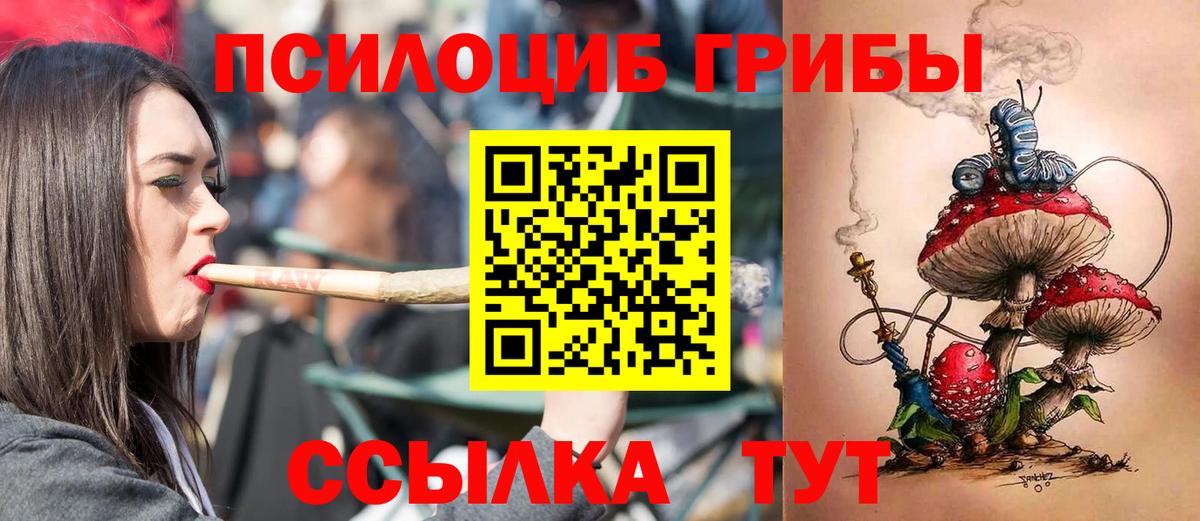 где продают наркотики  Вход с VPN  Ногинск  Псилоцибиновые грибы Psilocybe 