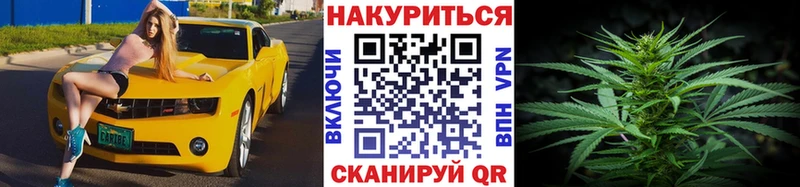 Конопля семена  магазин продажи наркотиков  hydra ССЫЛКА  Ногинск 